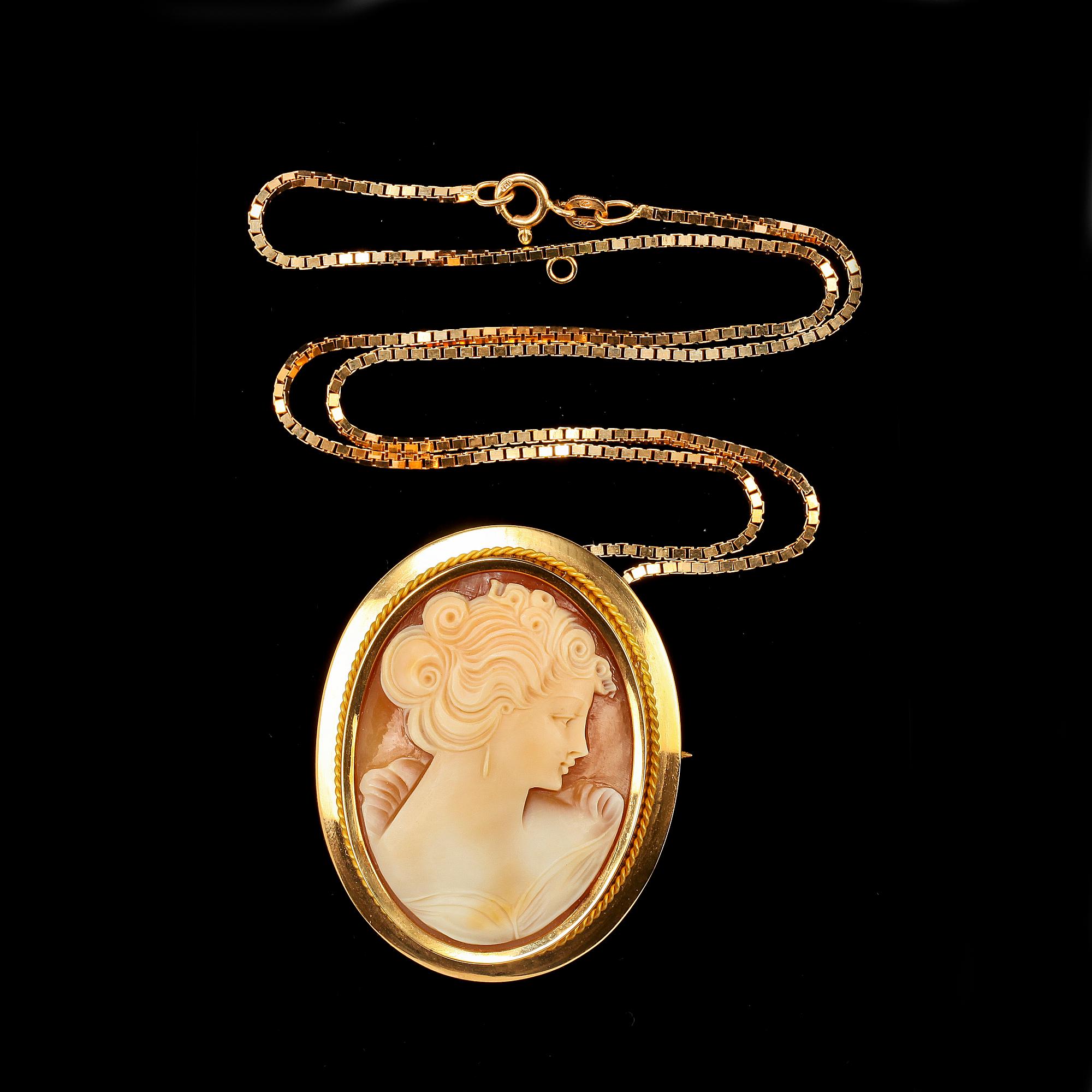 BROSCH/HÄNGE, 18k guld med kamé, Ceson, Göteborg, 1979. Tot 24 gr.