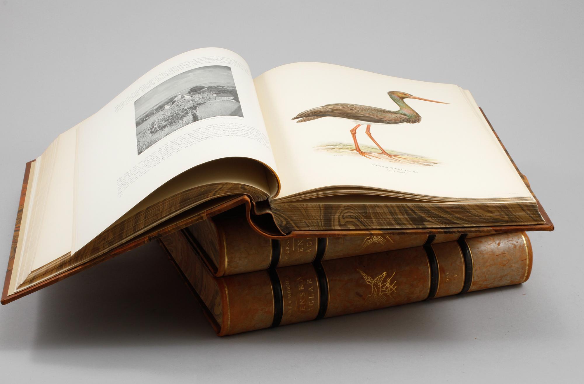 BÖCKER, tre volymer, "Svenska Fåglar", M,W & F von Wright, Stockholm, 1924-1929.