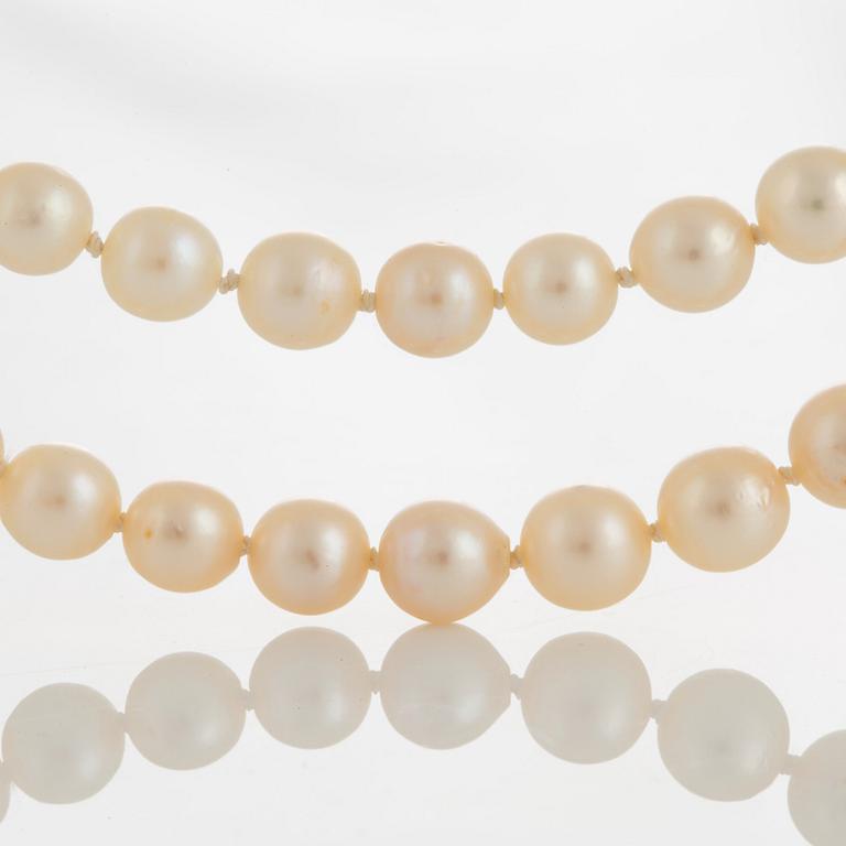 A two strand pearl necklace with a clasp signed D Webb.