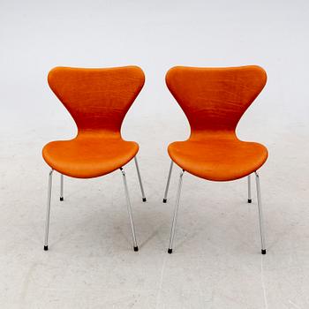 Arne Jacobsen, stolar 6 st "Sjuan" för Fritz Hansen Danmark sent 1900-tal.