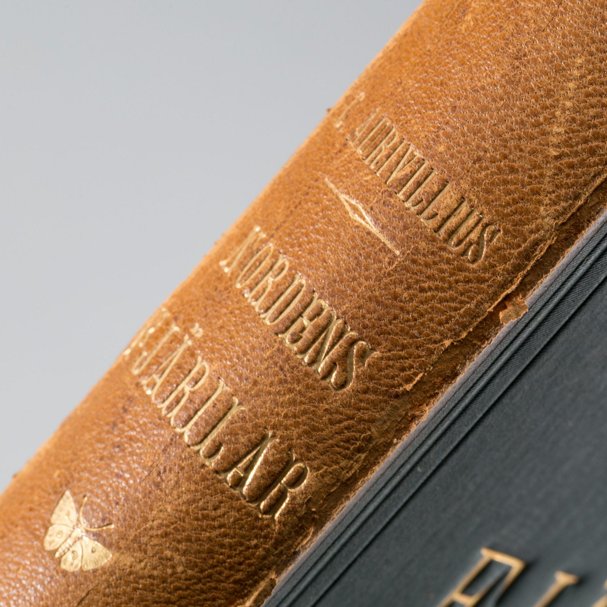 CHRISTOPHER AURIVILLIUS, "Nordens fjärliar", Aktiebolaget Hiertas Bokförlag, Stockholm,1888-1891.