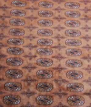 MATTA, Pakistan. 243 x 162.