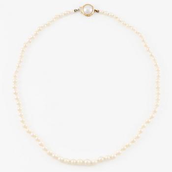 Necklace, with graduated cultured pearls, clasp in 18K gold.