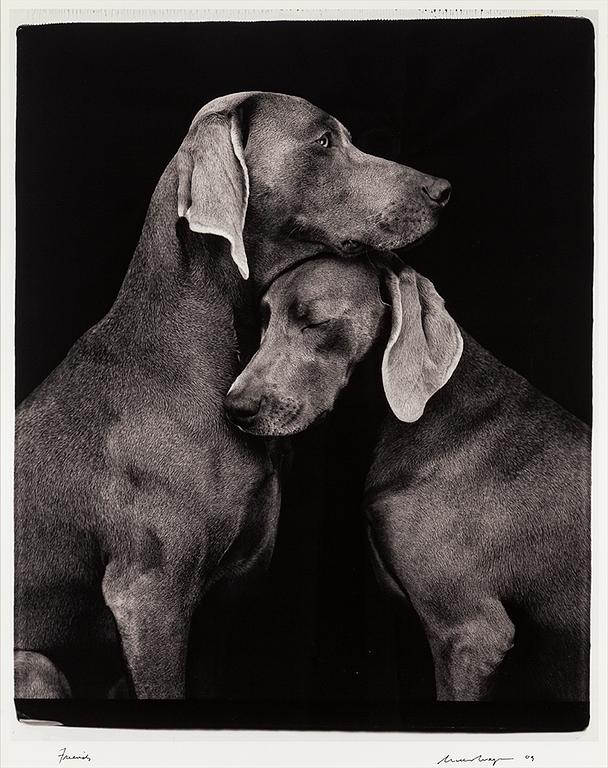 WILLIAM WEGMAN, fotografi, signerat och daterat -09.