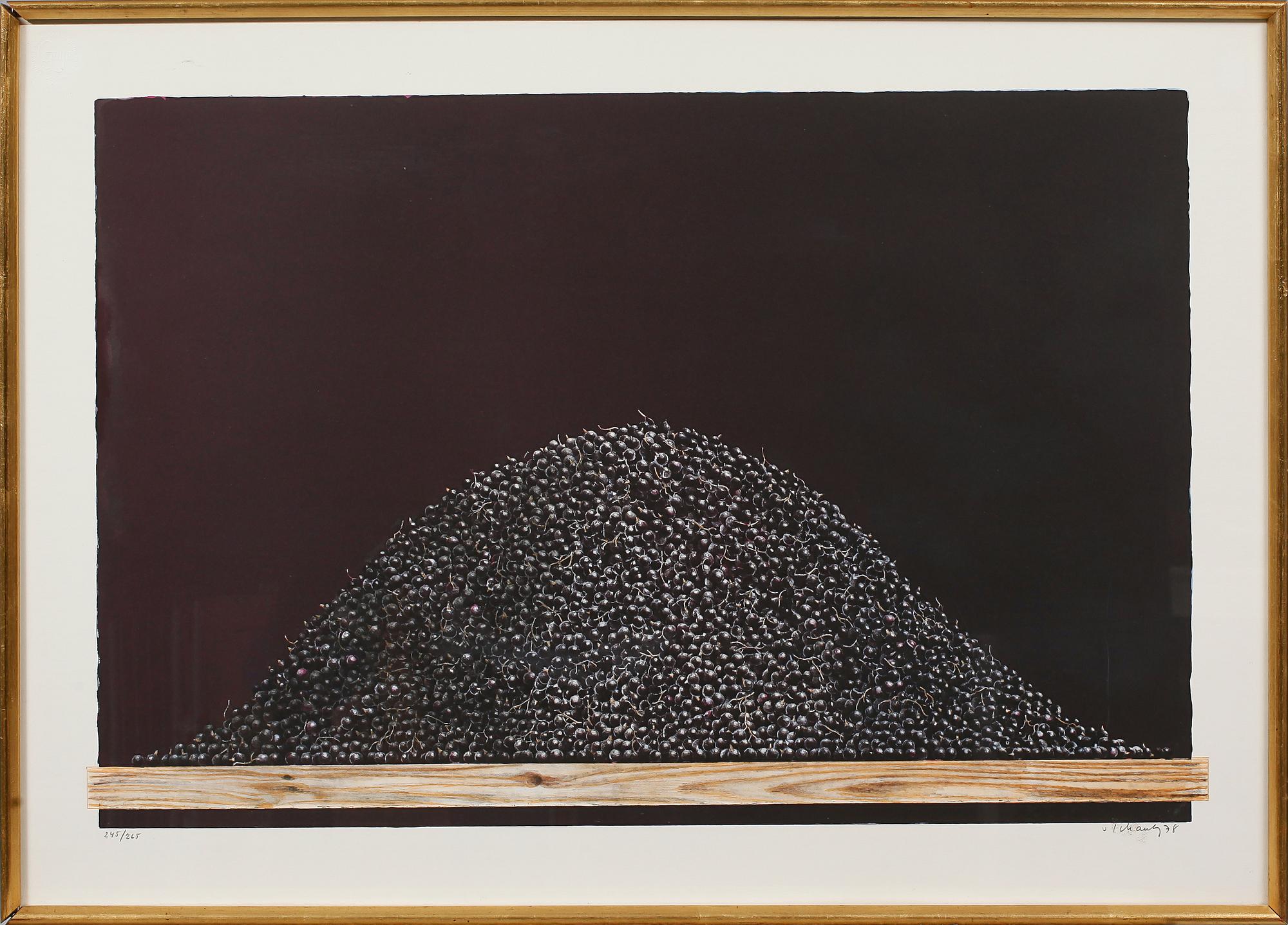 PHILIP VON SCHANTZ, färglitografi, signerad och numrerad 245/265, daterad 78.