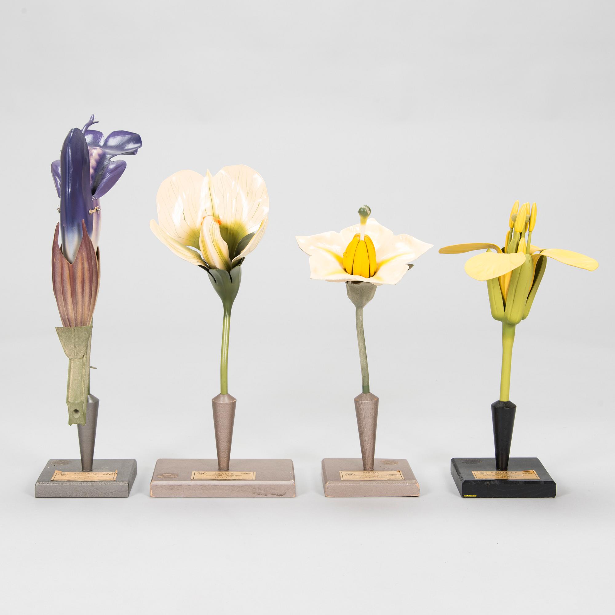 Robert Brendel & Carl Leopold Lohmeyer, A set of 4 educational materials / sculptures, "Botanic Flowers" by R. Bredel. Poland, turn of the 20th century.