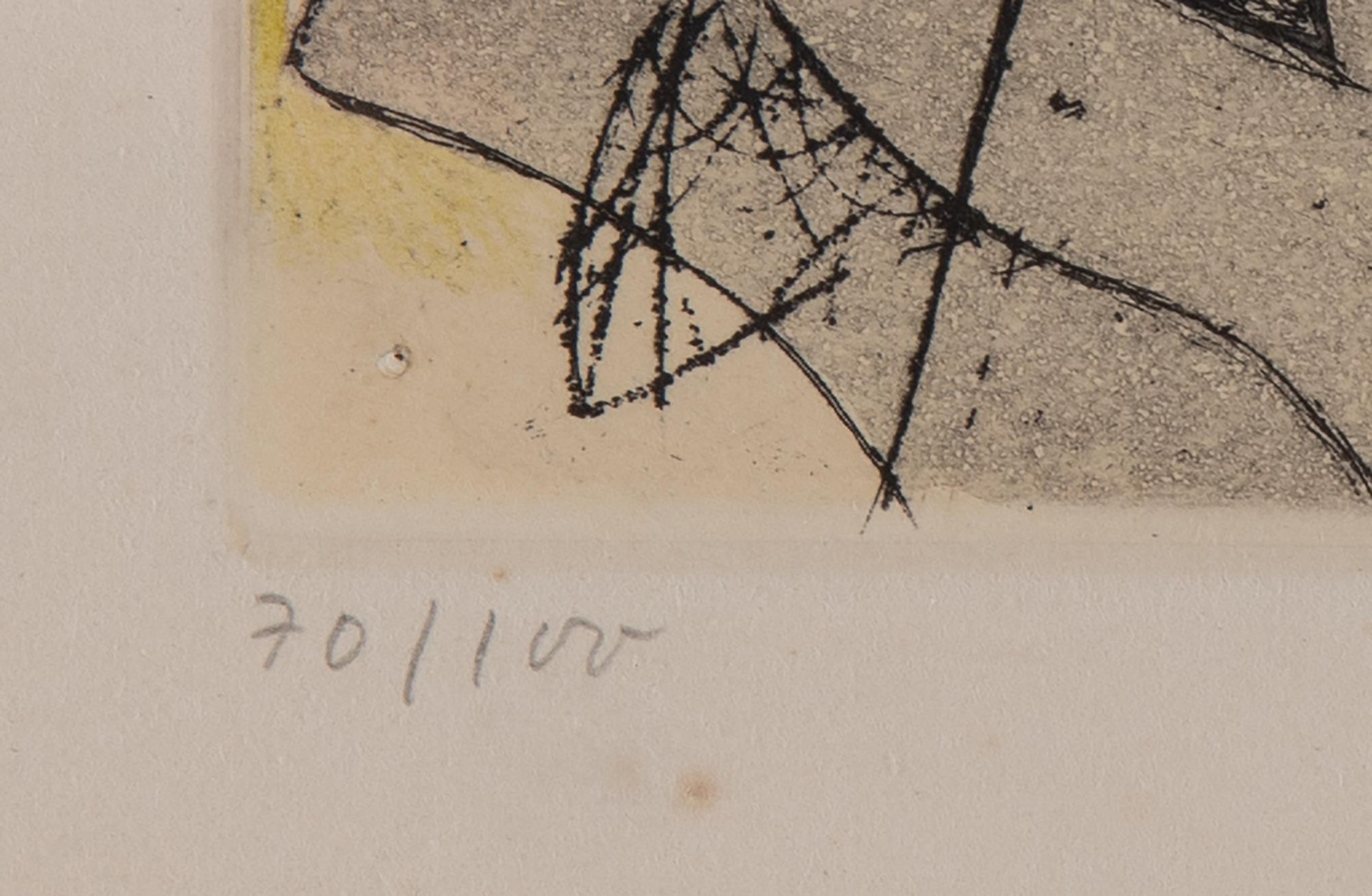 Max Ernst, etching & aquatint, coloured, 1950, signed 70/100.