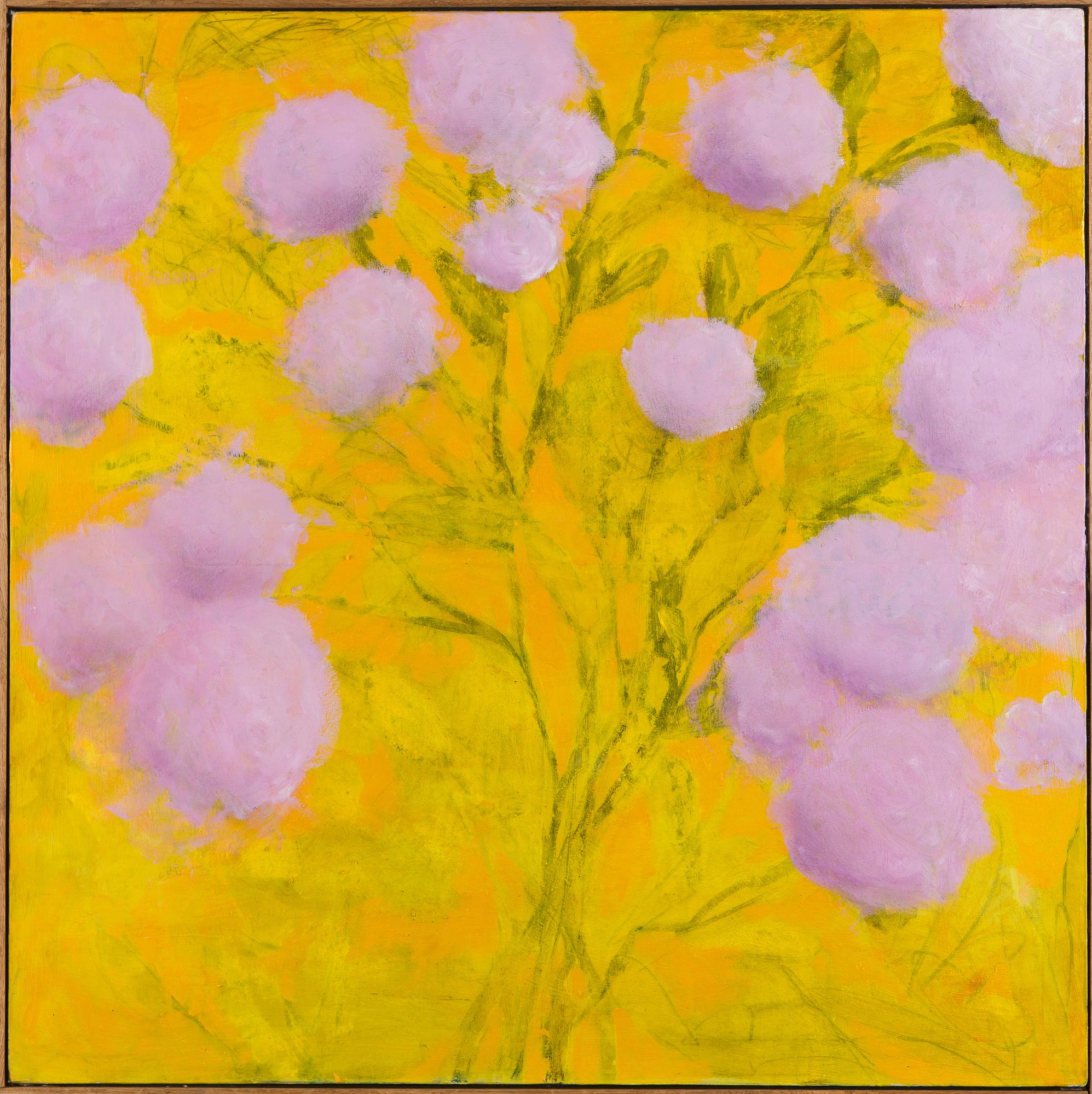 Joona Ijäs, "Where Light Blooms".