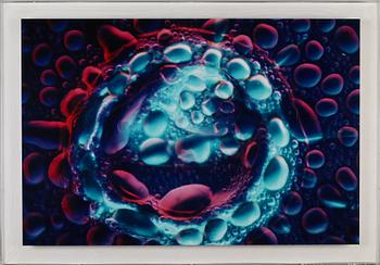 ERIC H OLSON, cibachrome, monterad i plexiglas, signerad och numrerad 1/1.