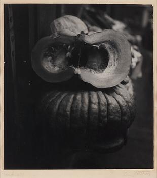 "Pumpkins", 1951.