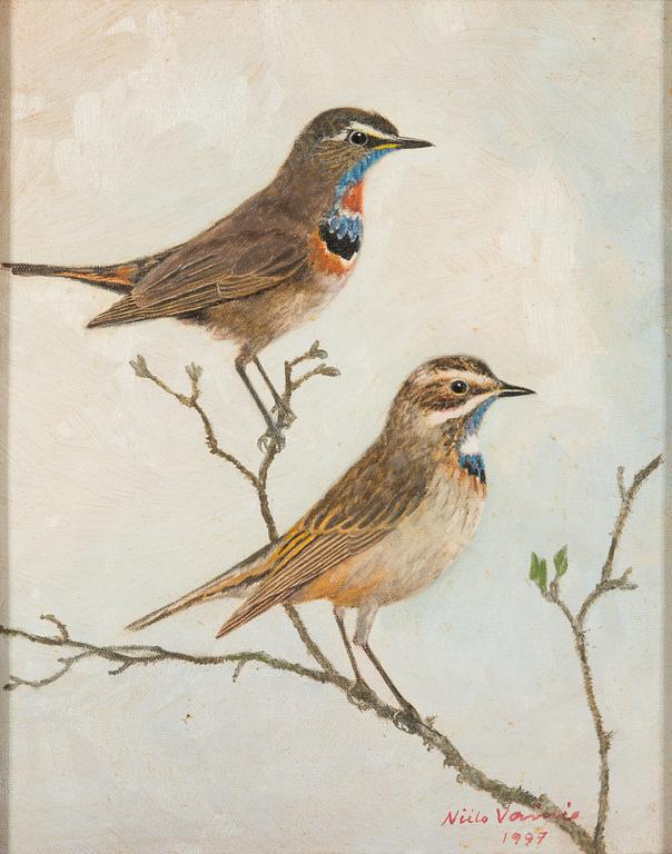 Niilo Vainio, Bluethroats.