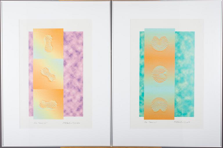 LARS HOLMSTRÖM, digitalgrafik, 2 st., signerad och daterad -07, numrerad 1/50.