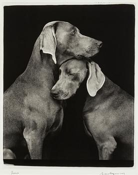 William Wegman, "Friends".