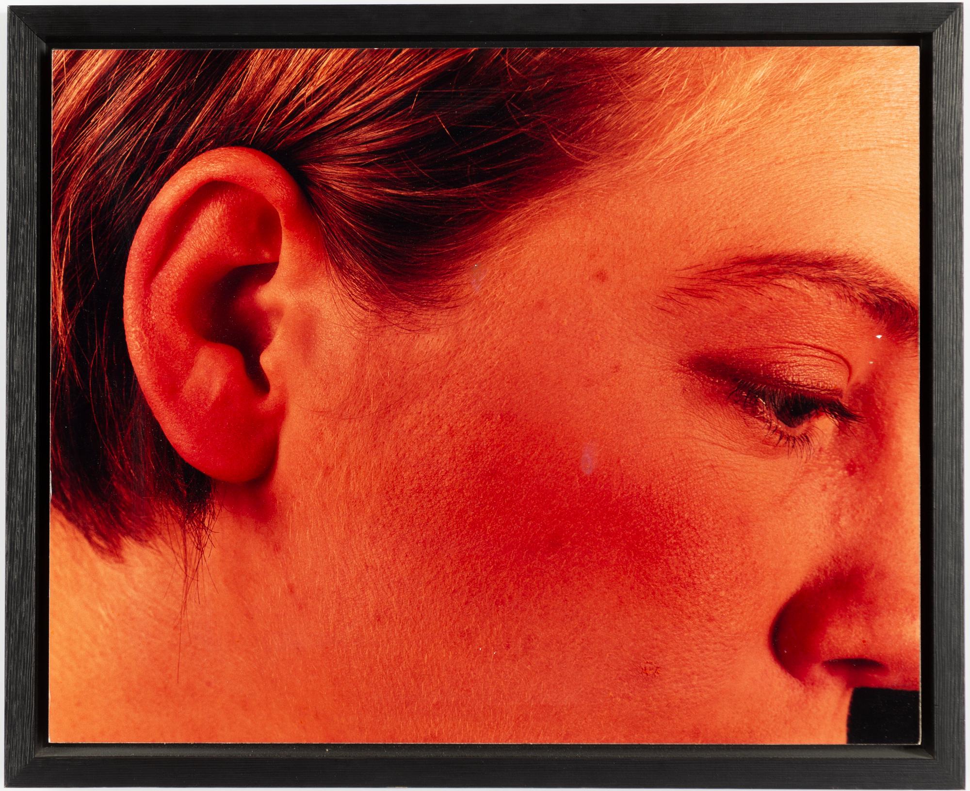 Staffan Redin, Untitled, quadriptych.