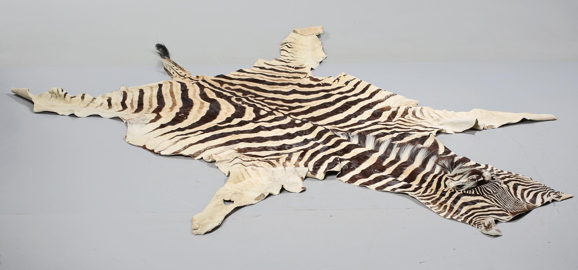 ZEBRASKINN, Namibia, 1988.