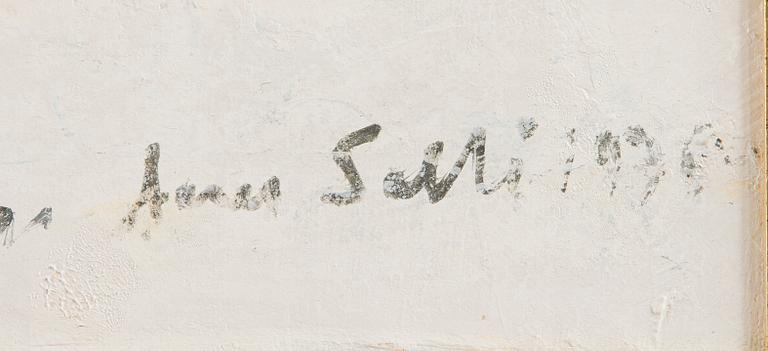 Aares Salli, Vinterlandskap.