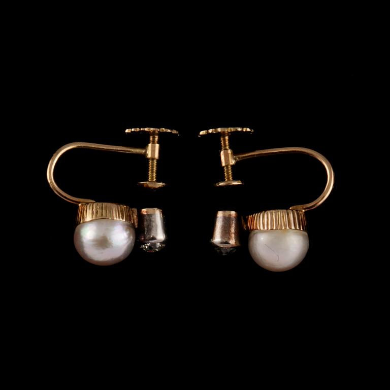 ÖRHÄNGEN, ett par, 14k guld med odlade pärlor och äldre briljantslipade diamanter. Vikt 3 g.