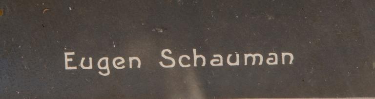 Photograph, Eugen Schauman, the early 20th century.