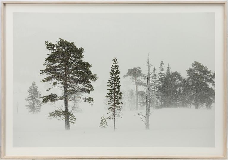 Karin Alfredsson, Ur sviten "Snö och regn skall passera", 2019.