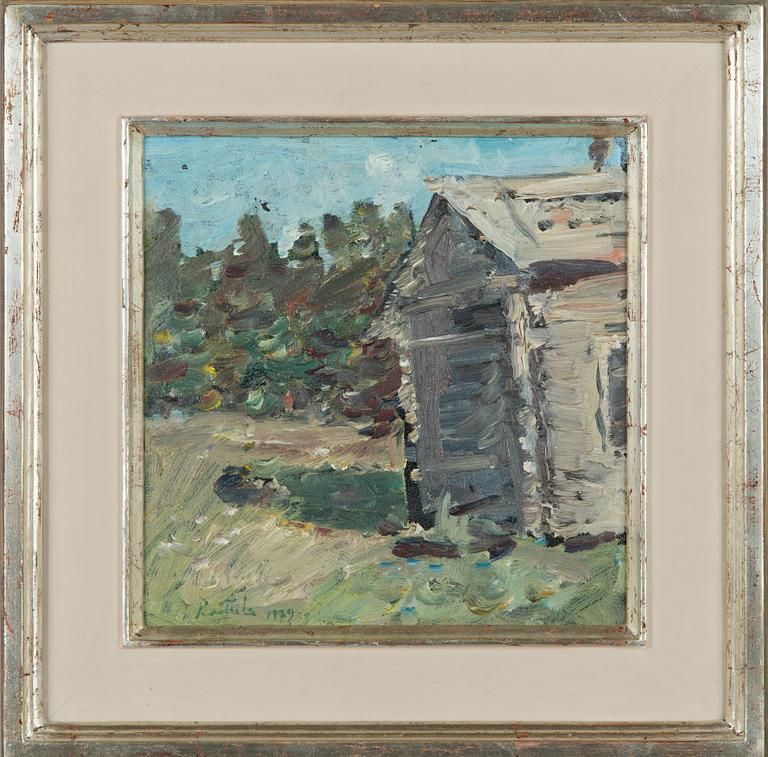 Tapani Raittila, Country side landscape.