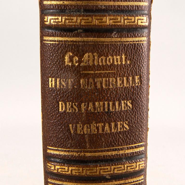 Emmanuel Le Maout, book 'Botanique. Organographie... Histoire naturalle', Paris 1855.