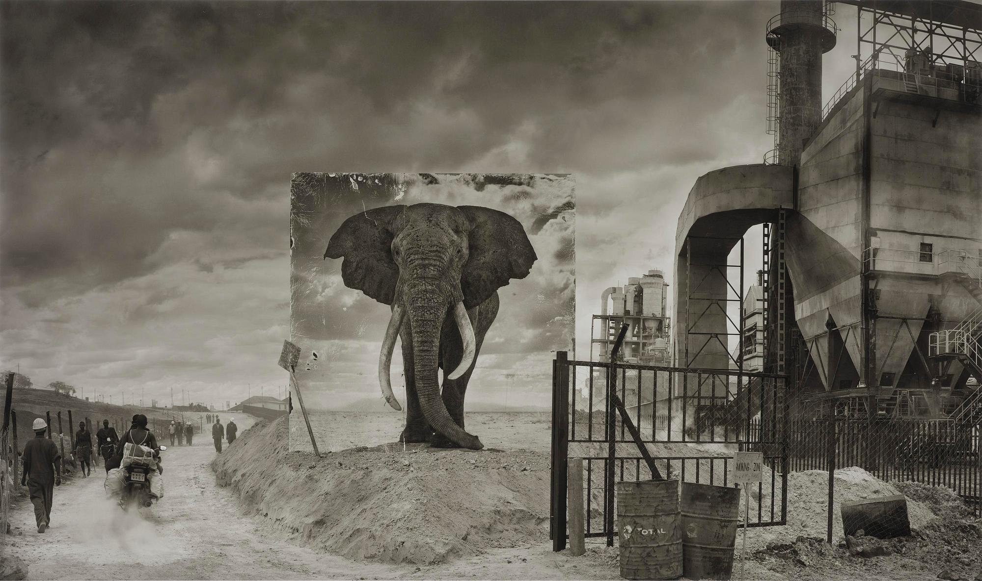 Nick Brandt, "Factory with Elephant", 2014.