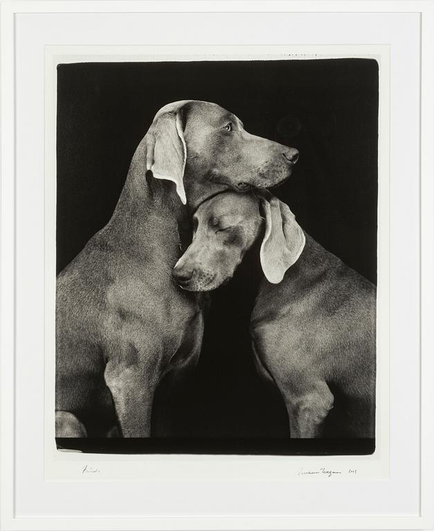 William Wegman, "Friends".