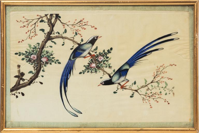 Rispappersmålningar, 9 stycken. Qingdynastin, 1800-tal.