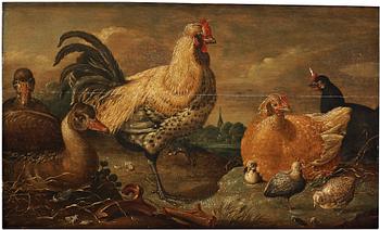 513. Gijsbert Gillisz. de Hondecoeter Attributed to, The duck and chicken family.