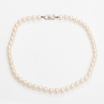 A pealr collier with cultured pearls and a metal clasp.