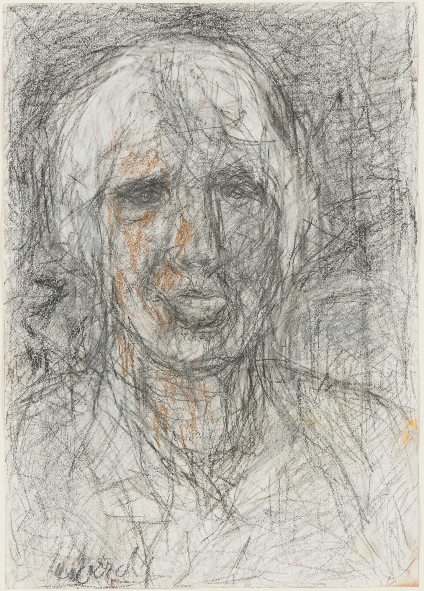 Rafael Wardi, Damporträtt.
