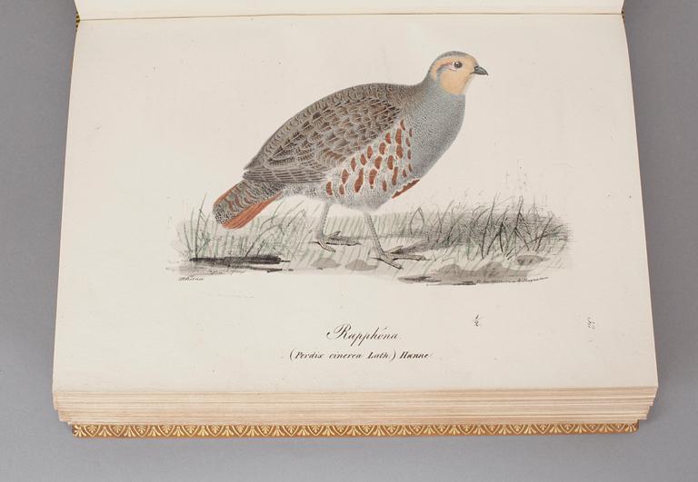 ILLUMINERADE FIGURER TILL SKANDINAVIENS FAUNA MED TEXT UTGIFNE.1-2. S.NILSSON. (Stockholm)& Lund 1832-1840. (2).