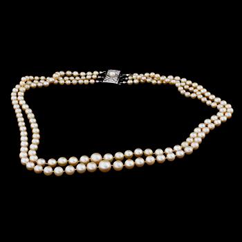 A culture pearl collier.