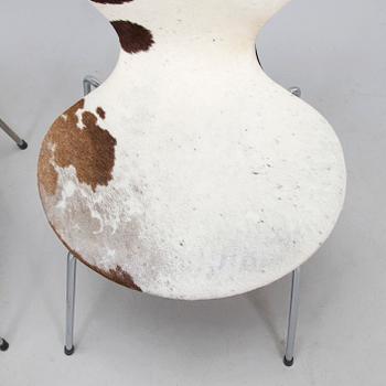 Arne Jacobsen, stolar, 6 st, "Sjuan", Fritz Hansen. 1900-talets slut.