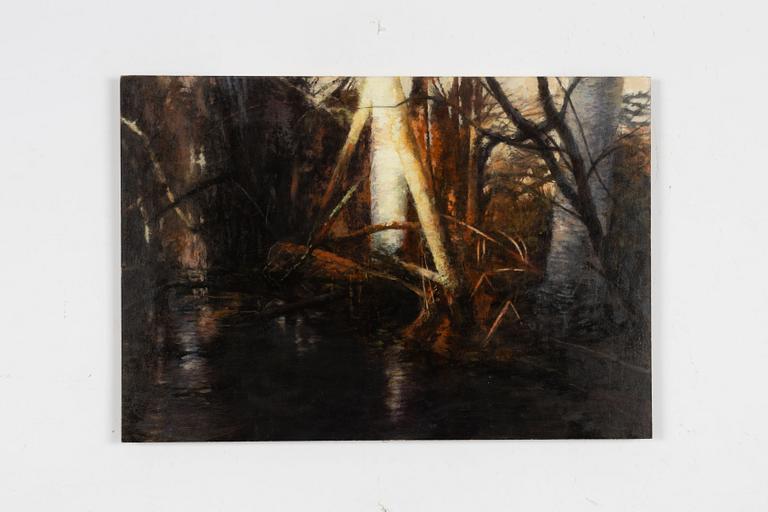 Anders Udd, "Vinterljus".