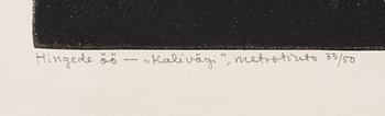 Kaljo Põllu, "Kalivägi".