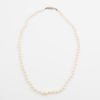 Pärlcollier med doserade odlade pärlor, lås  silver.