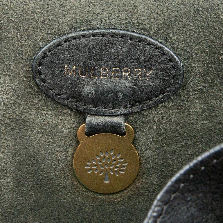 Mulberry,