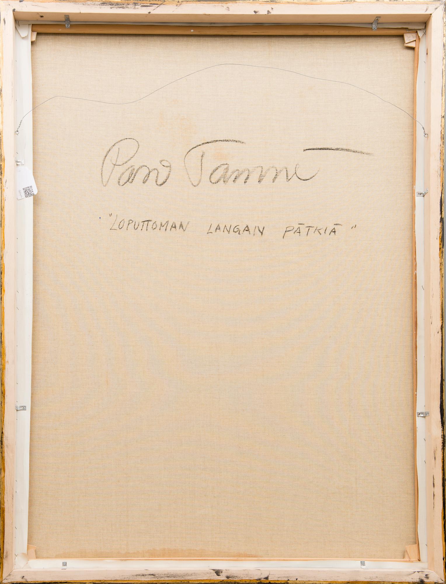 PASI TAMMI, "LOPUTTOMAN LANGAN PÄTKIÄ".