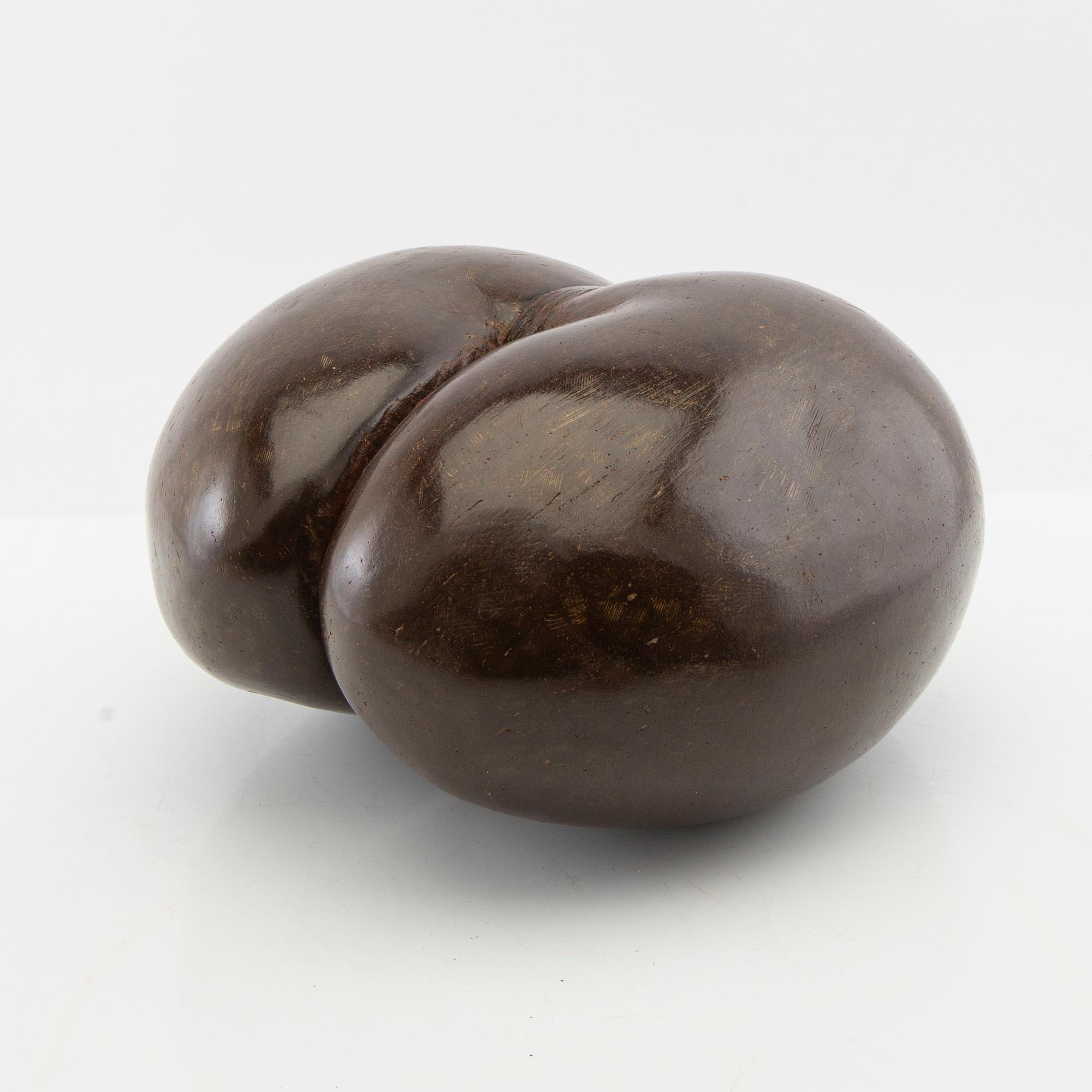 Dubbelkokosnöt, så kallad Coco de Mer, Lodoicea maldivica.