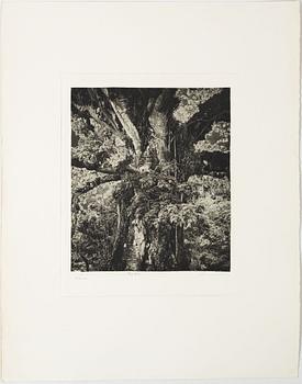 Lennart Olson, "Mitla, Mexico", 1966.
