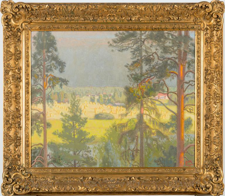 Antti Favén, Country scene.