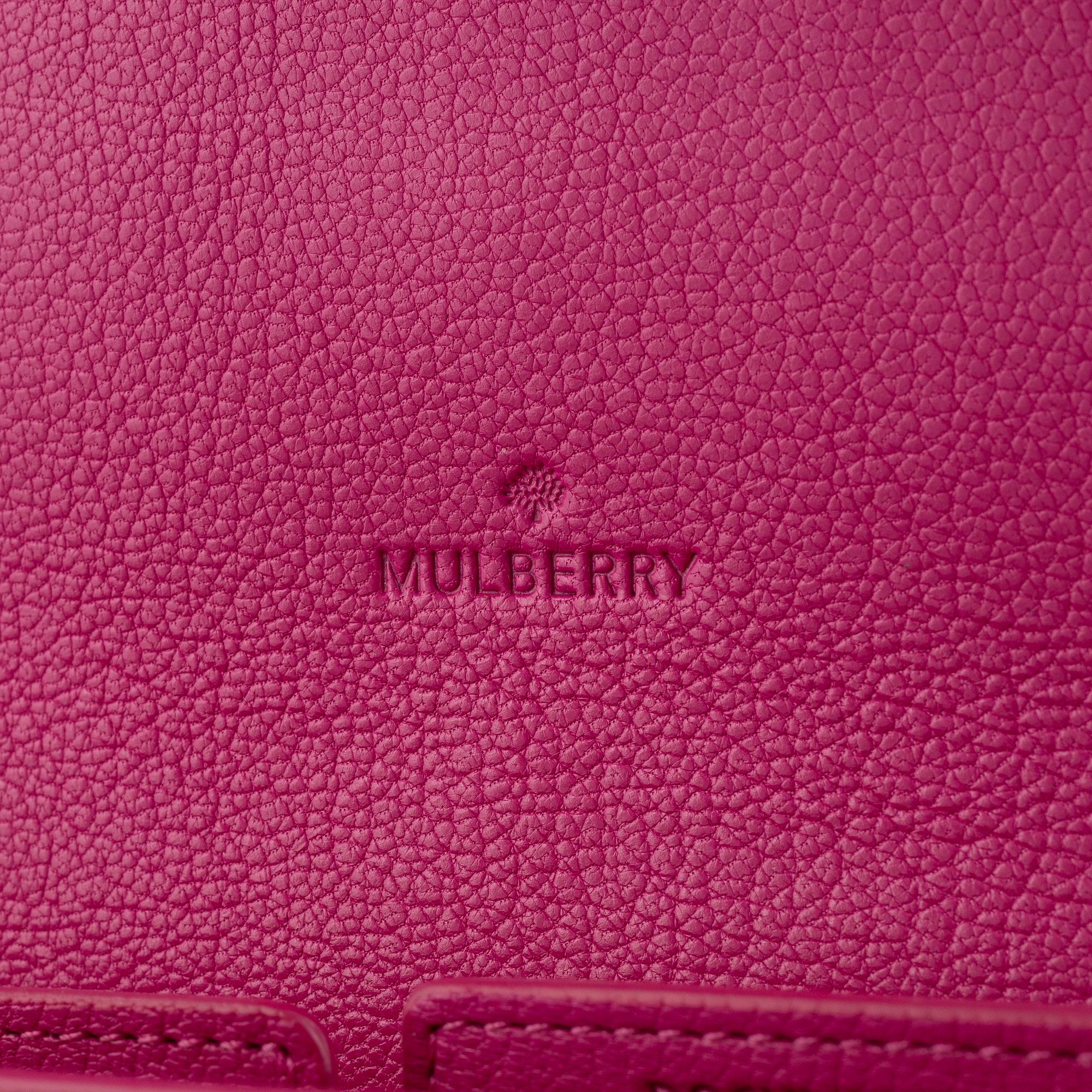 Mulberry, clutch/travel organiser.