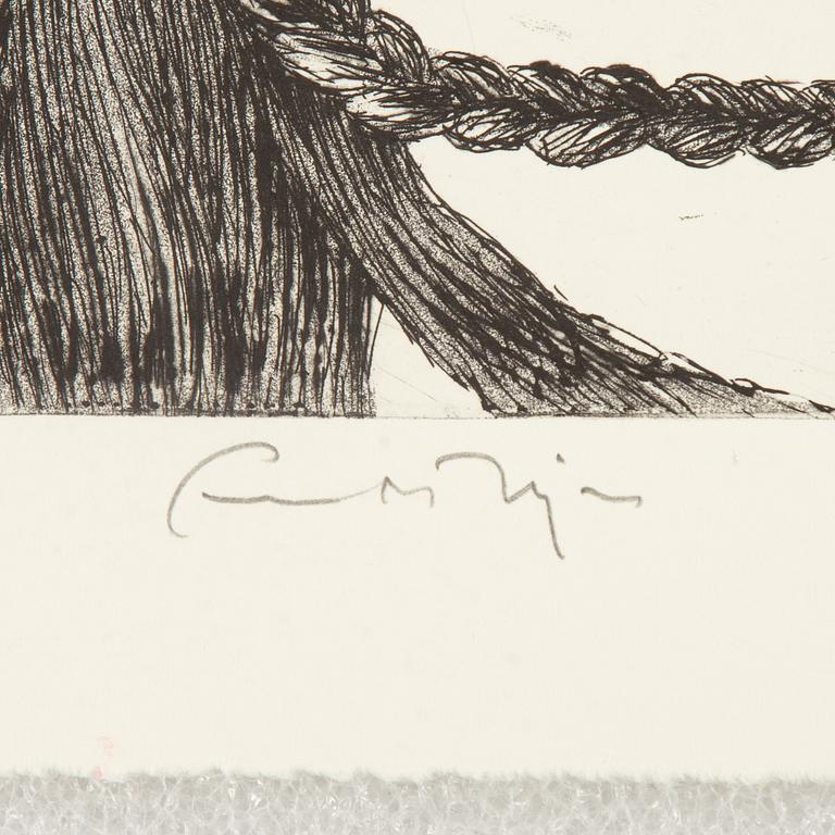 Ernst Billgren, Portfölj "Vid vägens slut".