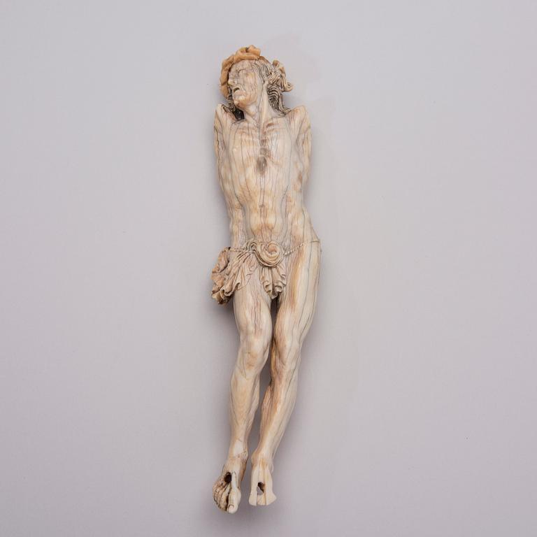 CORPUS, ben, 1600-tal.