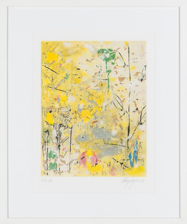 Canal Cheong-Jagerroos, Sommitelma.