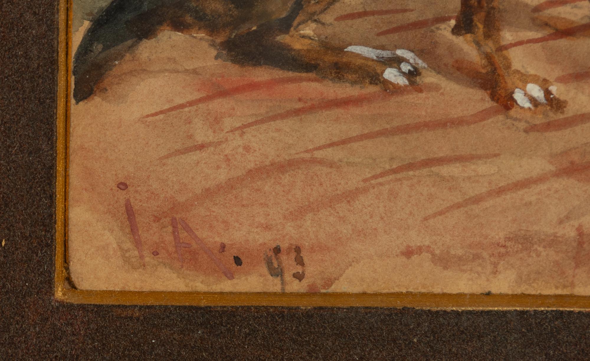 John Georg Arsenius, "Boy".