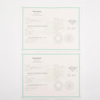 Tiffany & Co ett par örhängen platina med runda briljantslipade diamanter.