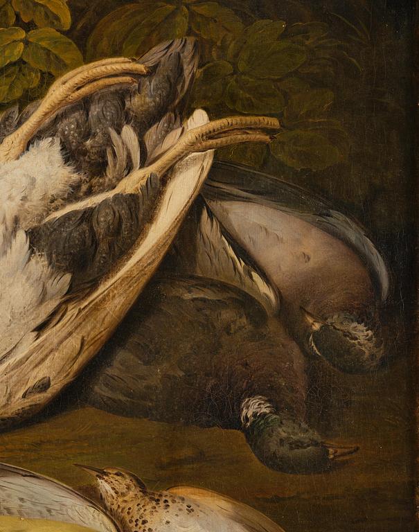 Jacob Xaver Vermoelen, Still Life with Pet Birds.
