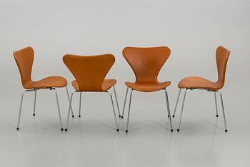 A SET OF 6 ARNE JACOBSEN "SERIES 7" CHAIRS, Fritz Hansen.